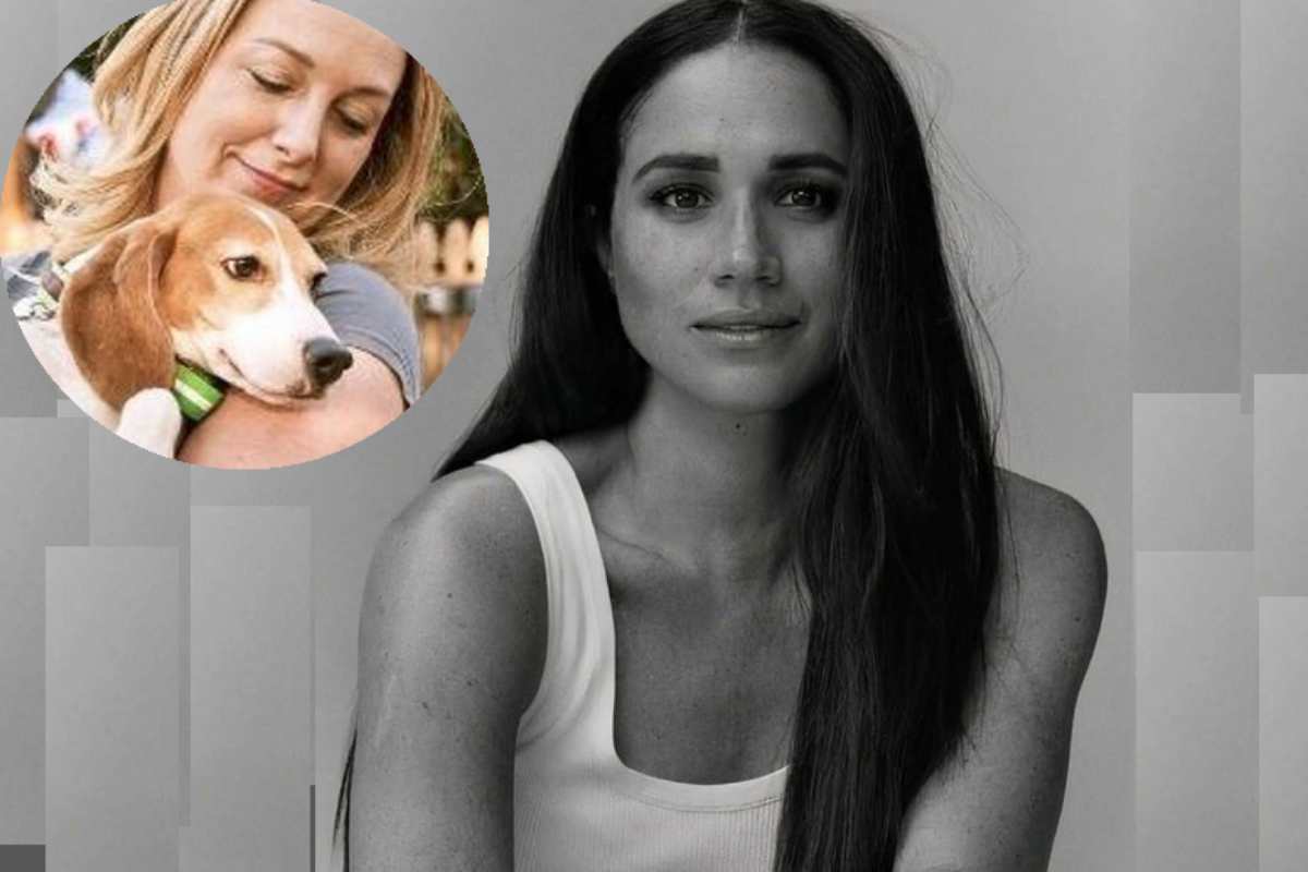 Meghan Markle, Beagle resgatado