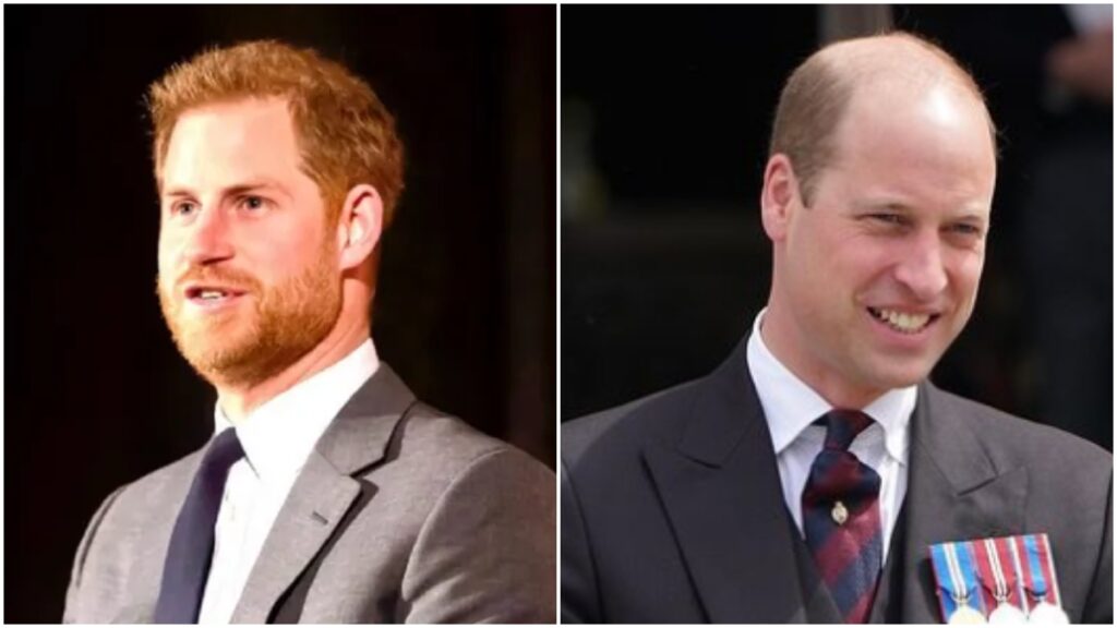 O principe Harry teria discutido com o irmão por causa de Meghan Markle