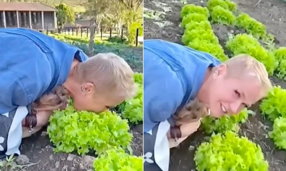 Vegano raiz? Xuxa come alface direto do pé e diverte internautas; veja vídeo