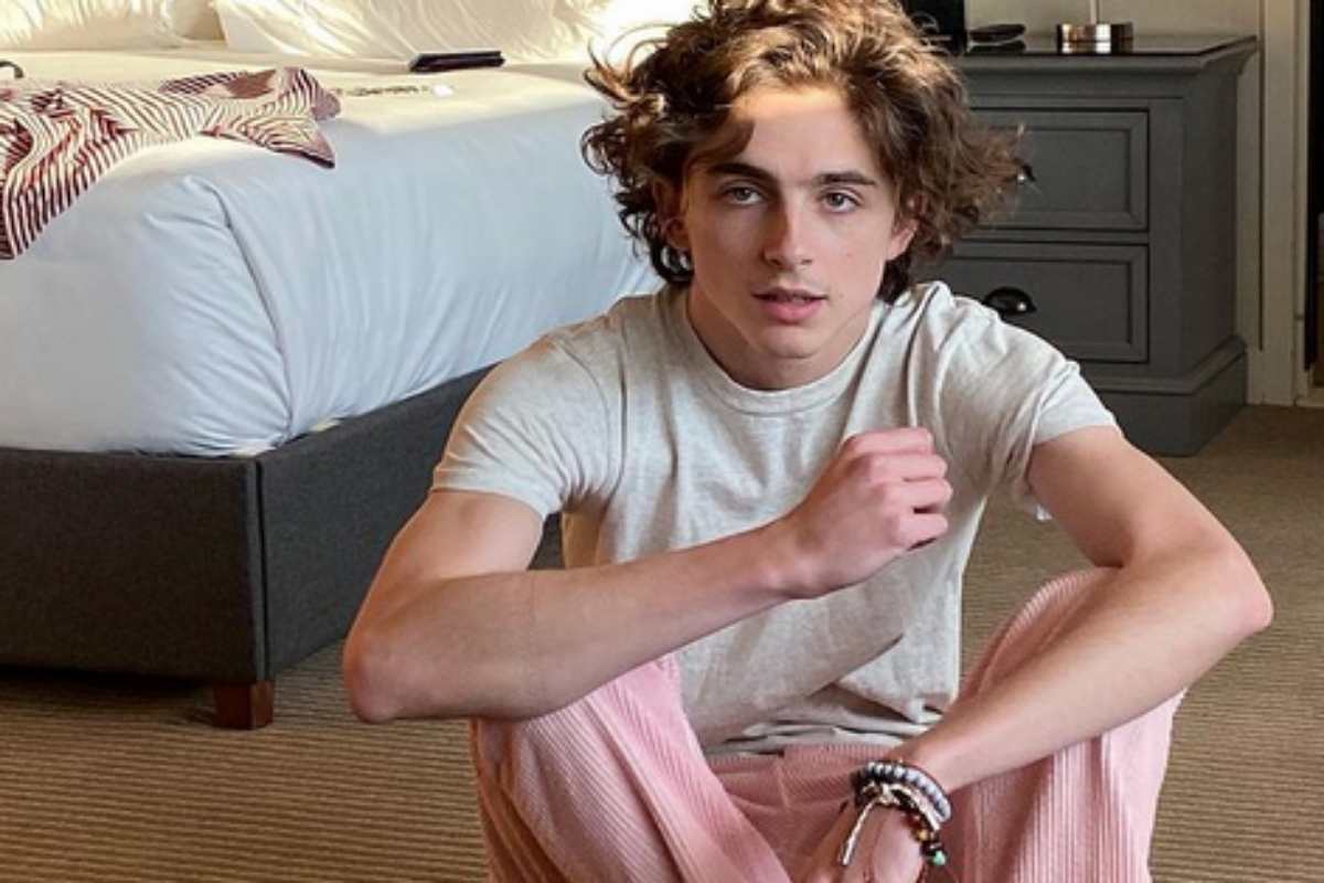 Timothée Chalamet sentado no chão