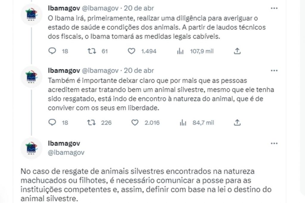 Tuites do ibama sobre caso agenor e capivara filó